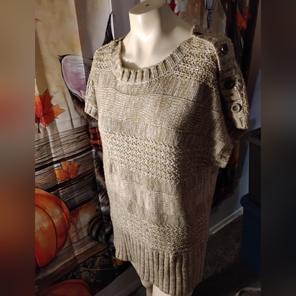 United States Sweaters Womens size XL Soft Short Sleeve Tan Sweater - Picture 1 of 4
